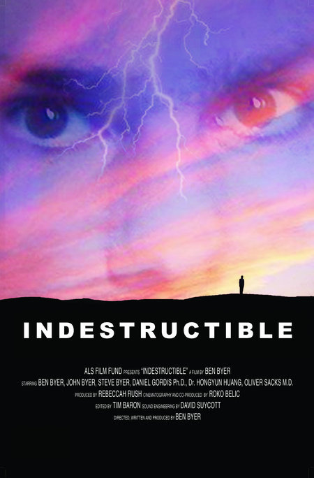 Poster: Indestructible (2007)